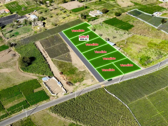 Lotes en Santa Rosa Miñarica