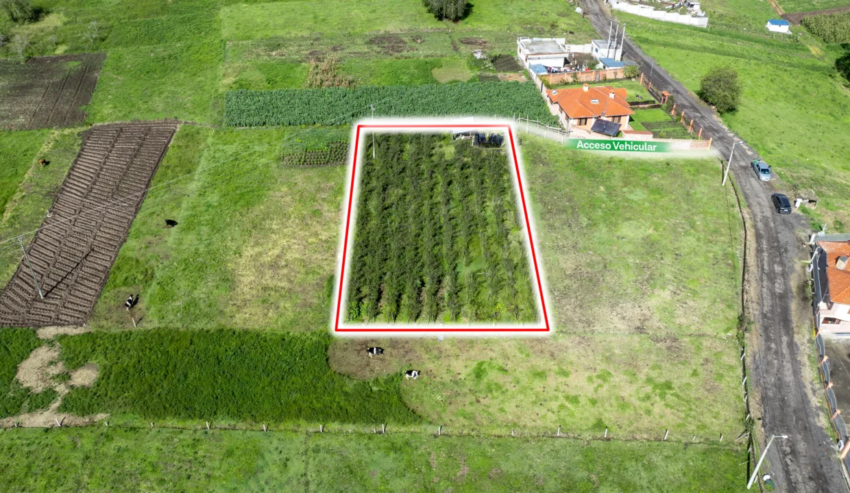 Terreno en Chibuleo