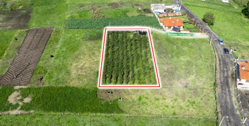 Terreno en Chibuleo